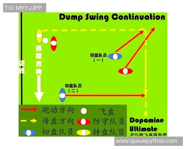 南京飞盘队战术解析与实战应用的深度探讨与思考