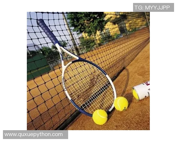 李磊畅谈飞盘之路：从初学者到顶尖选手的成长故事