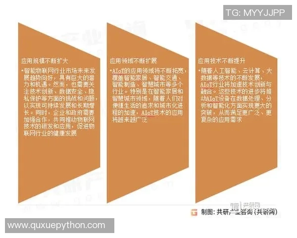 步行者在城市交通中的角色与未来发展趋势分析