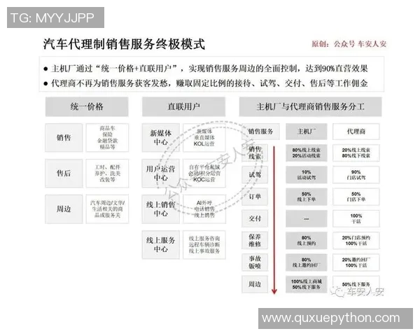 上海羽毛球队团队协作新模式探讨与实践成果分享
