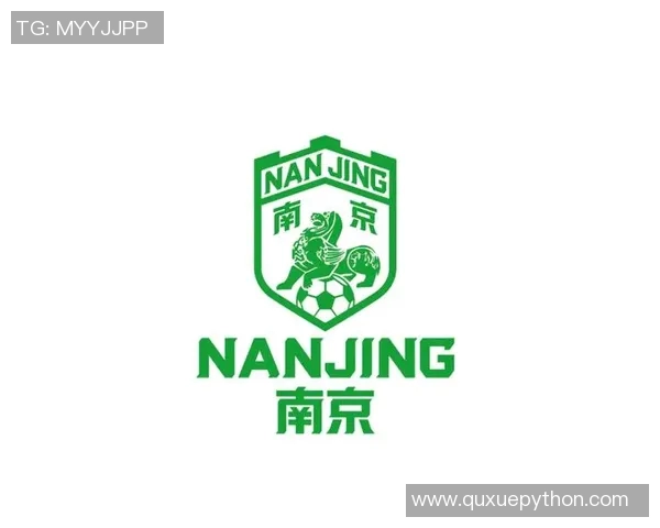 南京足球队的崛起与发展分析探讨球队实力与未来潜力